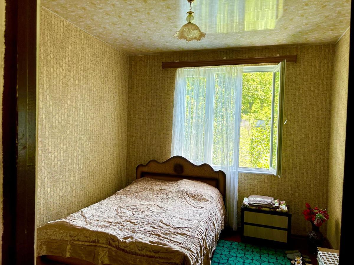 Vaso'S Guesthouse Katskhi المظهر الخارجي الصورة