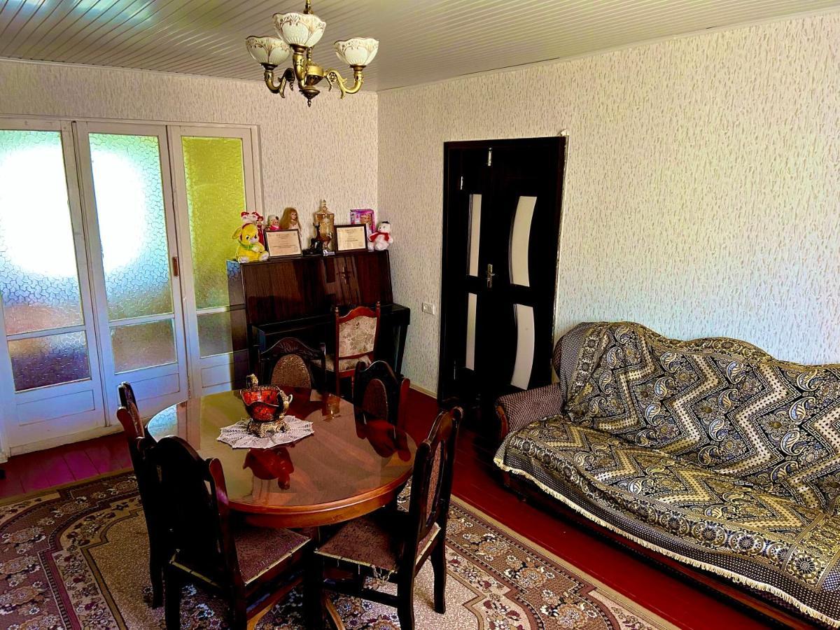 Vaso'S Guesthouse Katskhi المظهر الخارجي الصورة